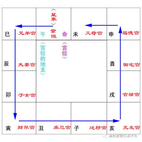 紫微方位|紫微斗数宫位系统 